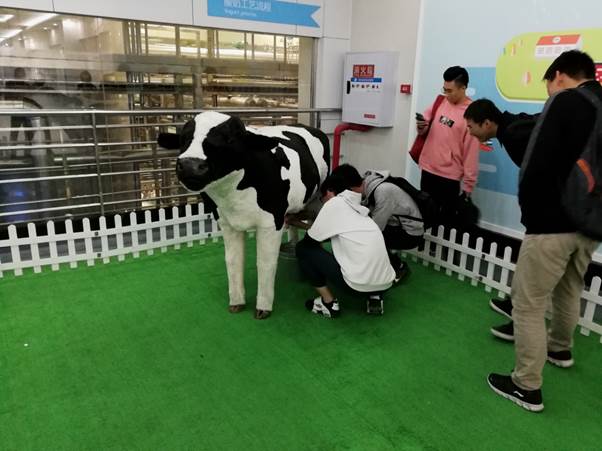 clip_image004.jpg IMG_20171023_104358.jpg